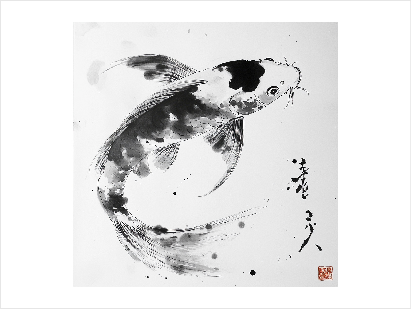 Koi 10