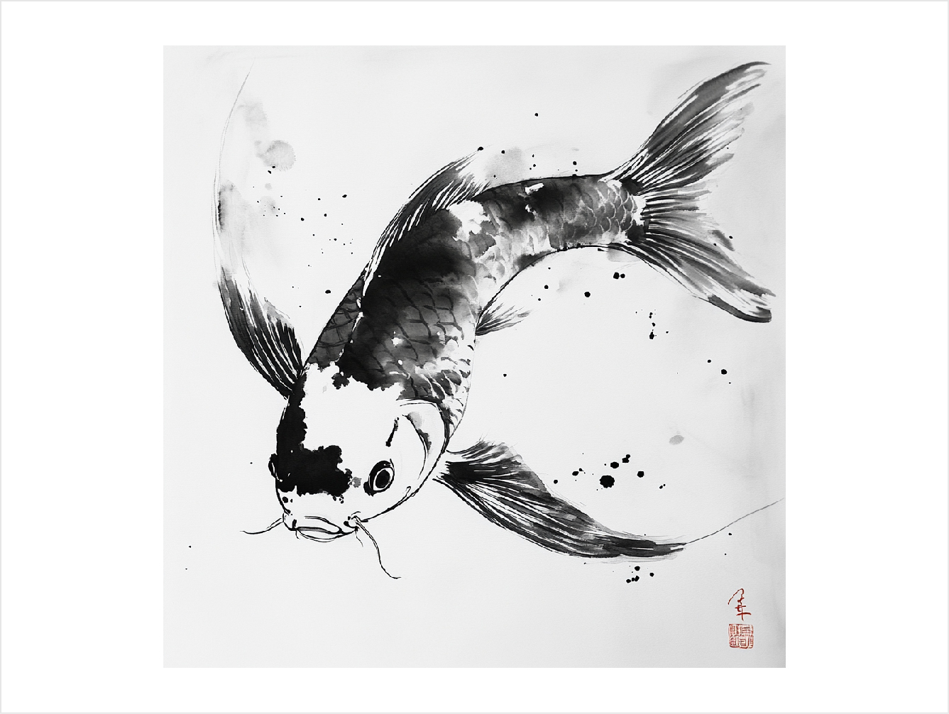 Koi 7